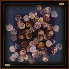 La Boutique 2480-02 Sura Ipek 90X90