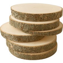 Özbience Doğal Ahşap Kütük Dilimi, Dekoratif ve Sıcak Hissiyatlı Parça