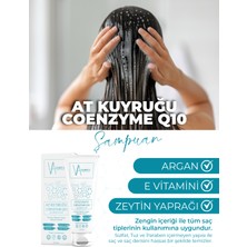 Va Cosmetıc At Kuyruğu Coenzyme Q10 Şampuan 250 ml