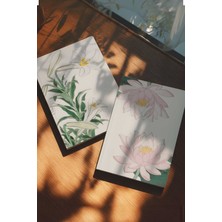 Bazen Defter Ikinci Çift Ikili Defter Seti