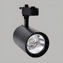 30W Cob LED Ray Spot Siyah Kasa 4000K Ycl