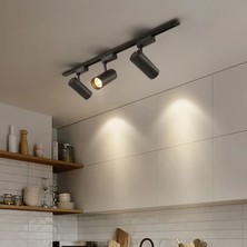 35W Cob LED Ray Spot Alüminyum Siyah Kasa 4000K Ycl