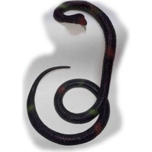 Özbience Şık ve Dayanıklı Yılan Temalı Dekoratif Heykel, Ev ve Ofis Için Mükemmel Seçim