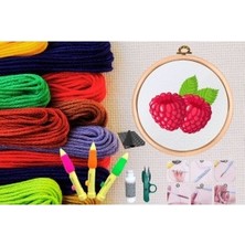 Nuvigo Punch Seti Nakış Seti Kasnaklı Kendin Yap Seti Seri 144