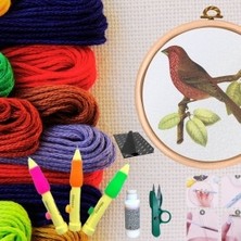 Nuvigo Punch Seti Nakış Seti Kasnaklı Kendin Yap Seti Seri 24