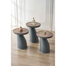 Altınaks Mobilya Elips 3'lü Sehpa, Yan Sehpa, Zigon Sehpa - Antrasit & Barok (Ceviz) Renk Tabla