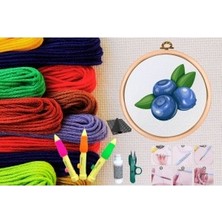 Nuvigo Punch Seti Nakış Seti Kasnaklı Kendin Yap Seti Seri 148