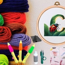 Nuvigo Punch Seti Nakış Seti Kasnaklı Kendin Yap Seti Seri 61