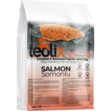 Teolix Somonlu Yetişkin Köpek Maması 15 kg