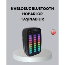Magne Kablosuz Bluetooth Müzik Cihazı – 2 Saat Batarya Süresi Şık ve Taşınabilir - TGR4625-2902