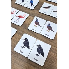 24 Parça Kuşlar Zeka ve Eşleştirme Oyun Kartları Seti