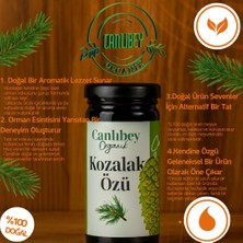 Canlıbey Organik Yeşil Taze Kozalak Özü 315 gr – Doğal Aromalı Yoğun Kıvam – Saf Içerik – Katkısız Geleneksel Ürün
