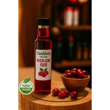 Canlıbey Organik Kızılcık Özü 350 ml – %100 Doğal Yoğun Kızılcık – Katkısız Geleneksel Lezzet