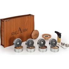 Feyza Design Viski ve Kokteyl Tütsüleme Seti, 4 Aromalandırma Talaşı, Jet Çakmak, Buz, Ahşap Kutu