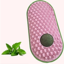 Silikon Kaşıyıcılı Kedi Otu