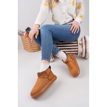 OXI Kadın Ugug Günlük Kadın Taba Bot