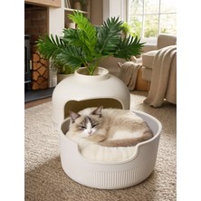 Petozi Dekoratif Kedi Evi ve Kedi Yatağı