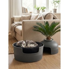 Petozi Dekoratif Kedi Evi ve Kedi Yatağı