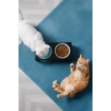 GOBYPET 2'li Siyah Pleksi Kedi ve Köpek Seramik Mama & Su Kabı Paspas Hediye