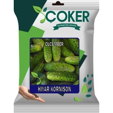 Çoker Hıyar Kornişon Tohumu 10 gr