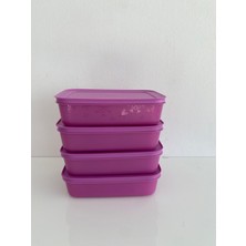 Tupperware Alaska Buzdolabı ve Derin Dondurucu Saklama Kabı 1lt,4lü