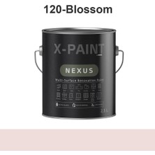 X-Paint Nexus – Soft-Mat Su Bazlı Dönüşüm Boyası | Hemel