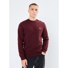 Lacoste Erkek Standart Fit Bisiklet Yaka Bordo Sweatshirt