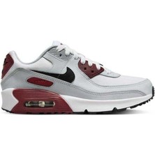 Nike Air Max 90 Ltr Spor Ayakkabı Sneaker