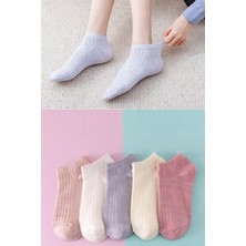 Bgk 5’li Yazlık Renkli Çorap