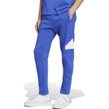 IW8560-E Adidas M Fı Bos Pt Erkek Eşofman Altı Mavi