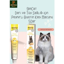 Gimcat Cheese Biyotin Paste 50 gr | Kediler Için Peynirli Biyotin Takviyesi | Parlak ve Sağlıklı Tüyler