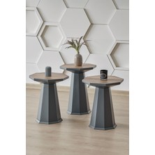 Altınaks Mobilya Elegance 3'lü Sehpa, Yan Sehpa, Zigon Sehpa - Antrasit & Barok (Ceviz) Renk Tabla