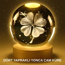 Yonca Bitki Figürlü LED Işıklı Cam Küre USB Ahşap Standlı Gece Lambası