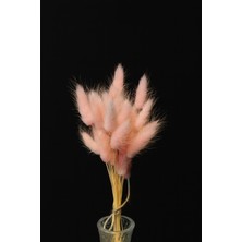 Renkli Doğal Kurutulmuş Tavşan Kuyruğu Otu Buketi 1 Demet (30 Dal)