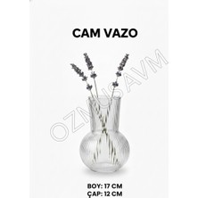 Ozmus Avm Cam Dekoratif Vazo 17 cm Modern Çizgili Tasarım