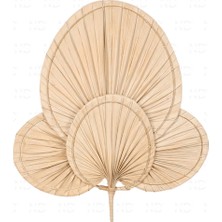 Naturel Dekor Bohem Palmiye Yaprağı, Japon Yelpazesi 4'lü SET 30x40-19x28 cm, Duvar Dekorasyon, Duvar Süsü