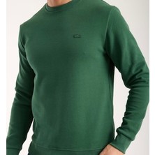 Lacoste  Bisiklet Yaka Nefti  Uzun Kol Regular Fit