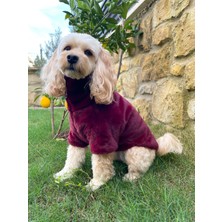 Mellow Köpek Sweatshirt-Krem-Pudra-Bordo