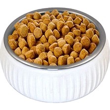 Mikopet Organik Seramik Mama Kabı Beyaz