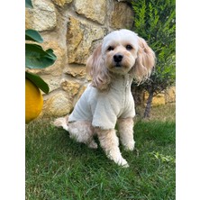 Mellow Köpek Sweatshirt-Krem-Pudra-Bordo