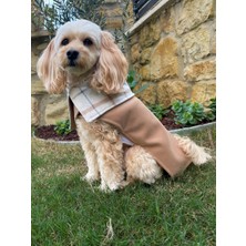 Maia Studio Elsa Ekose Çift Taraflı Camel Rengi Kaşe Köpek Kabanı