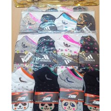 Multipa 6 Çift Ekonomik Pamuklu Patik Çorap