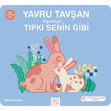 Yavru Tavşan Öğreniyor Tıpkı Senin Gibi