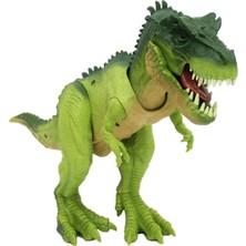 Çınar Toptan Ticaret Sesli Dinazor Oyun Seti