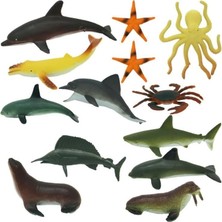 Çınar Toptan Ticaret Okyanus Hayvanları Poşetli S00000704