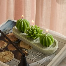 Karaca Home Oasis 3'lü Kaktüs Mum