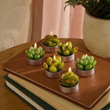 Karaca Home Sukulent 6'lı Tealight Mum