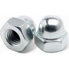 Labshop41 M8 Kapalı (Kör) Somun Dın 1587 x 10 Adet  (RF137)