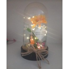 Nadire Tasarım Dogum Günün Kutlu Olsun Ters Fanus