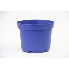 Tunç Botanik DEKORATİF SAKSI - MAVİ RENKLİ 5 ADET